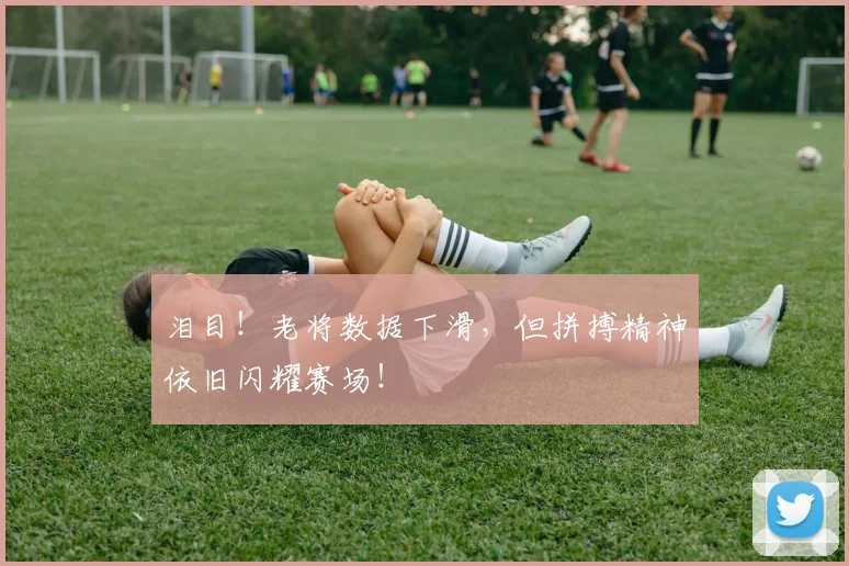 泪目！老将数据下滑，但拼搏精神依旧闪耀赛场！